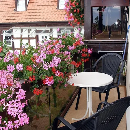 Gaestehaus Im Malerwinkel-Rhodt Rhodt unter Rietburg Eksteriør billede
