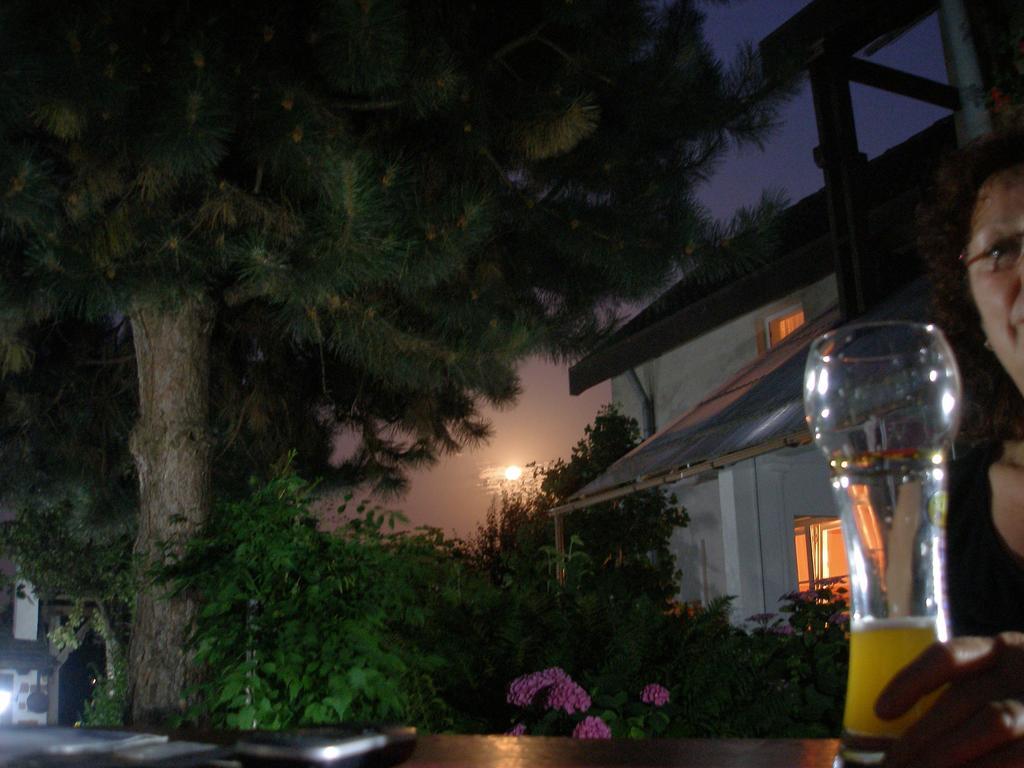 Apartment Gaestehaus Im Malerwinkel-rhodt