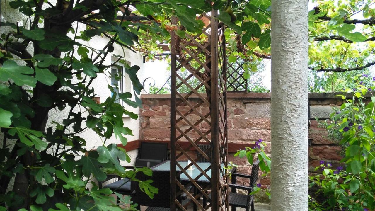 Gaestehaus Im Malerwinkel-rhodt Apartment Rhodt unter Rietburg